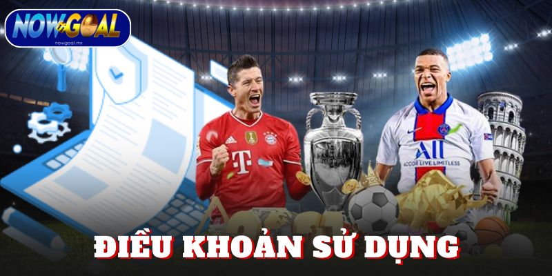 Điều Khoản Sử Dụng