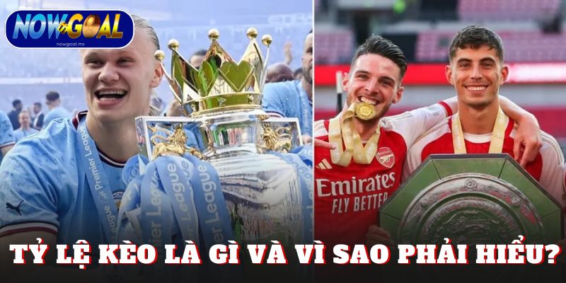 Tỷ lệ kèo là gì và vì sao phải hiểu?